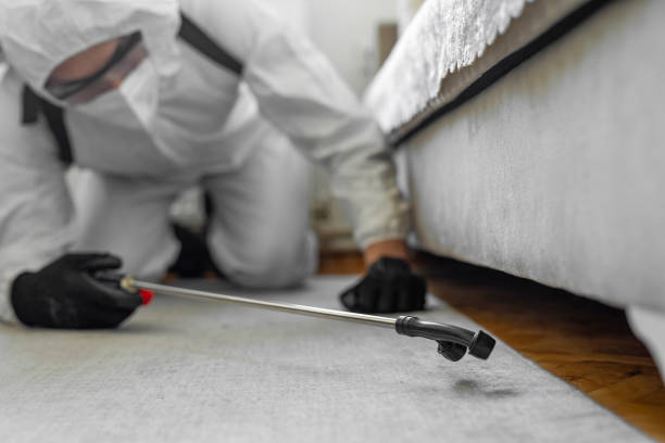 Professional Cockroach Control technician working in Hesperia, CA