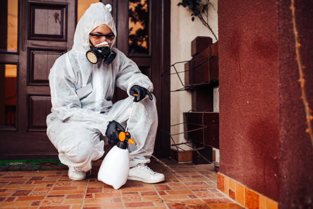 Reliable Cockroach Control contractor in Hesperia, CA by Nex Pest Control
